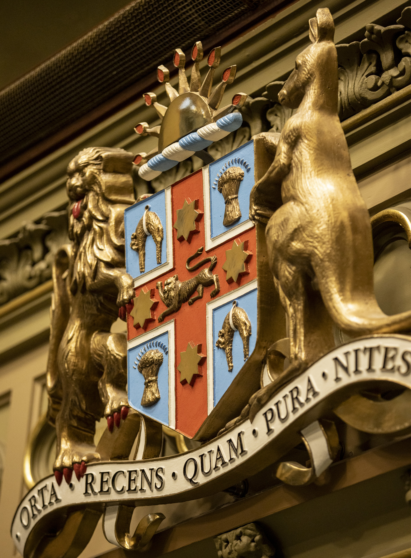 Crest in the chamber.png