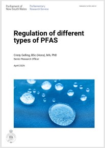 PDF icon