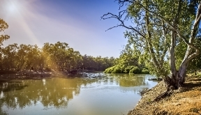 View of the Murray River