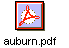 auburn.pdf